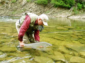 Soci�t� de guides au saumon - Fly Fishing Salmon gaspesie MATANE gasp�sie qu�bec canada  gaspesie - quebec
