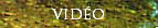 Vido